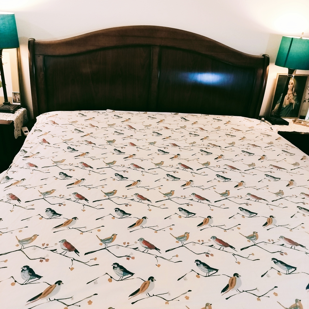 Garnet Hill Organic Cotton Queen Sheets